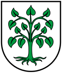 DEU Schutterwald COA